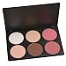 Coastal Scents Contour and Blush Palette