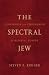 The Spectral Jew: Conversion and Embodiment in Medieval Europe (Medieval Cultures)