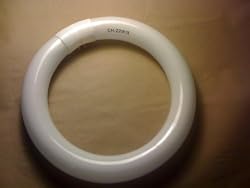 Mag Lamp Bulb 22 Watt