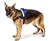 Big Dog Harness Soft Reflective No Pull Blue Size L 26-36inch