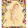 Bowron Sheepskin Shorn Baby Comforter