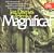 Magnificat