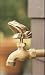 Outdoor Living : Frog Faucet