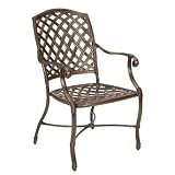 Venice Arm Chair with Cushion - Cannes Pebble - Frontgate - Patio Furniture