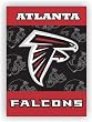 Atlanta Falcons 2-Sided 28 X 40 House Banner - NFL