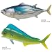 立体図鑑リアルフィギュアボックス　ソルトウォーターフィッシュ （日本の海水魚）_s-3
