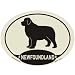 Newfoundland Euro Decal