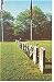 Appomattox Court House Va Cemetery Postcard