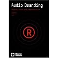 Audio Branding: Brands, Sound and Communication