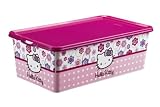 Produkt-Bild: Rotho Babydesign 77191820KS - Aufbewahrungsbox Creativ Clear Box, Motiv Hello Kitty  5 L