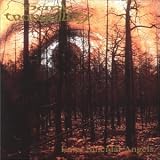 Enter Suicidal Angels by Dark Tranquility