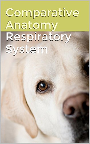 Comparative Anatomy - Respiratory System