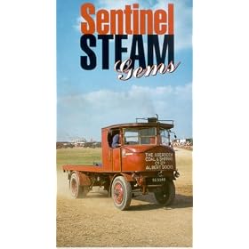 Sentinel Steam Gems