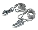 Master Lock 2829DATSC Safety Cables, Braided Steel, 2-Pack