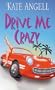 Drive Me Crazy