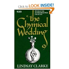 The Chymical Wedding (Picador Books)