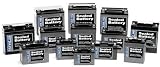 WPS Maintenance Free Sealed Battery - YTX30L-BS CTX30L-BS