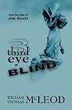 Third Eye Blind: From the Files of Jim Scott
