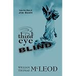 Third Eye Blind: From the Files of Jim Scott book cover