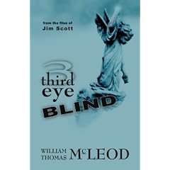 Third Eye Blind: From the Files of Jim Scott