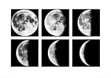 Moon Cycle, Japan Education Art Poster Print by Shigemi Numazawa, 28x20