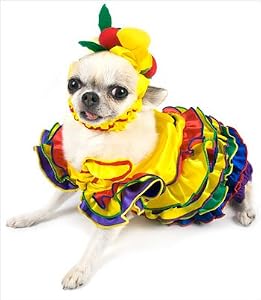 Chiquita Banana costume for dogs