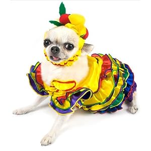 Calypso Queen Dog Costume