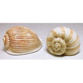Buy Beach Sea Shells Salt & Pepper Shaker Set S P