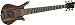 Warwick Thumb 6-String Bass Guitar