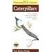 Peterson First Guide to Caterpillars of North America (Peterson First Guides (R))