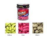 Berkley Gulp! 1