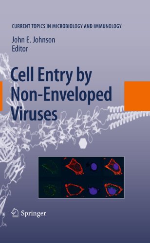 Cell Entry by Non-Enveloped Viruses: 343 (Current Topics in Microbiology and Immunology)