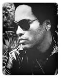 MusicSkins  iPad 用液晶保護フィルム  Lenny Kravitz - Love Revolution  iPad  MSIPAD0661 lenny