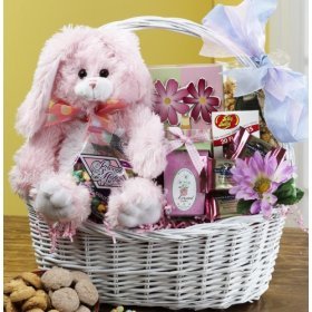 Somebunny Special Gift Basket - PINK or PURPLE Bunny Rabbit - Gourmet Food Gift Basket by ArtofAppreciation.com