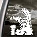 DONKEY Decal SHREK Car Truck Bumper Window Sticker