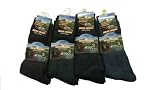 6 pairs Allero Hiking Walking Work Cushion Sole Socks 6/11