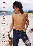 David Cassidy fridge magnet