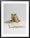 Cairn Terrier, 4 Months Old Framed Art Poster Print by David M. Dennis, 31x39