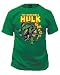 All Products : Marvel Comics The Incredible Hulk Smash! Adult Tee Shirt