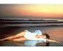MICHELLE JOHNSON 20X24 COLOR PHOTO