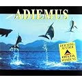 Adiemus