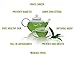 Smart Tea Instant Green Tea Powder - Pure Antioxidant Green Tea - no Fillers, Additives or Artificial Ingredients of Any Kind (4 oz)