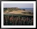 Oxwich Bay, Gower Peninsula, West Glamorgan, Wales, United Kingdom Framed Art Poster Print by Julia Bayne, 49x39