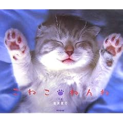 こねこ・ねんね