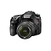 Sony A65 24.3 MP Translucent Mirror Digital SLR With 18-55mm Lens