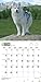 Siberian Huskies 18-Month 2015 Calendar