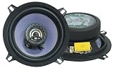PYLE PLG-52 5 2-Way Speaker System
