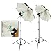 Steve Kaeser- Pro Studio Light Kit 600 watt "Cool-Flo" Fluorescent Photo/Digital Video --Since 1989