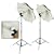 Steve Kaeser- Pro 600 watt "Cool-Flo" Fluorescent Photo/Digital Video Lighting Kit--Since 1989