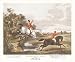 Bachelor S Hall/Plate No. 2 Poster Print